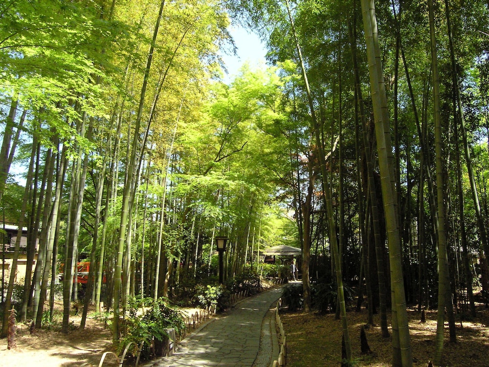 ラフォーレ修善寺 山紫水明 清水