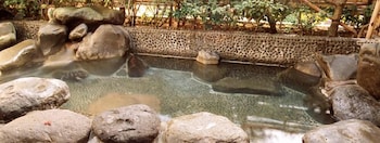 伊豆長岡温泉 二葉旅館 清水