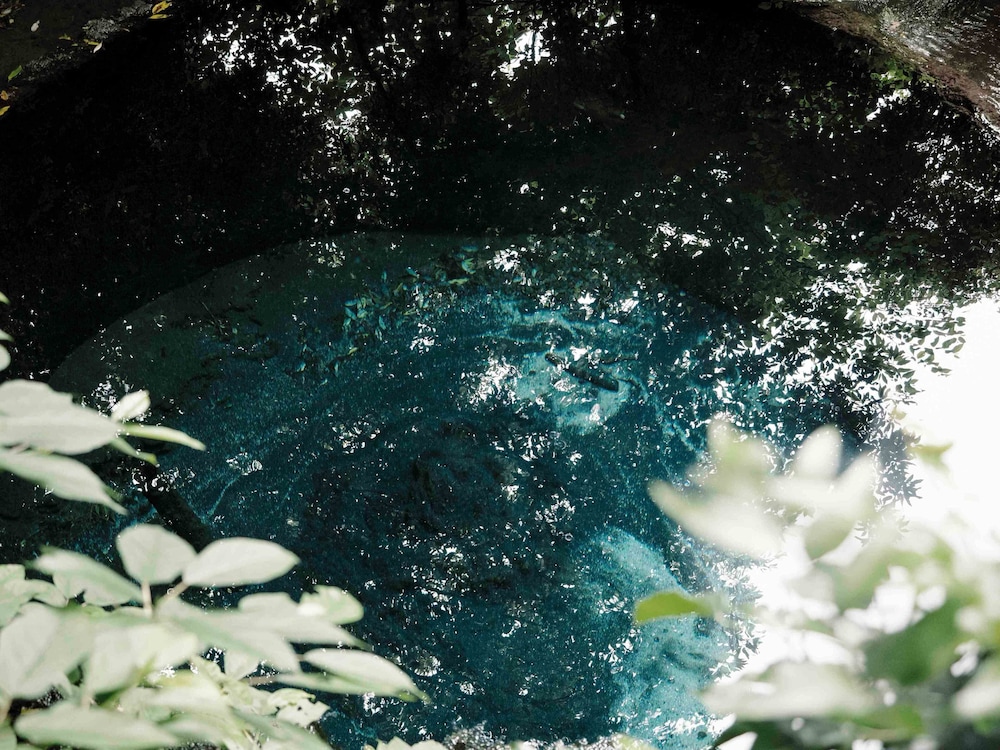 沼津倶楽部 清水