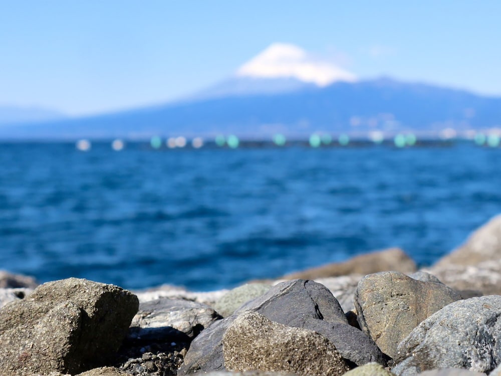 東横 INN 富士山沼津駅北口 1 清水