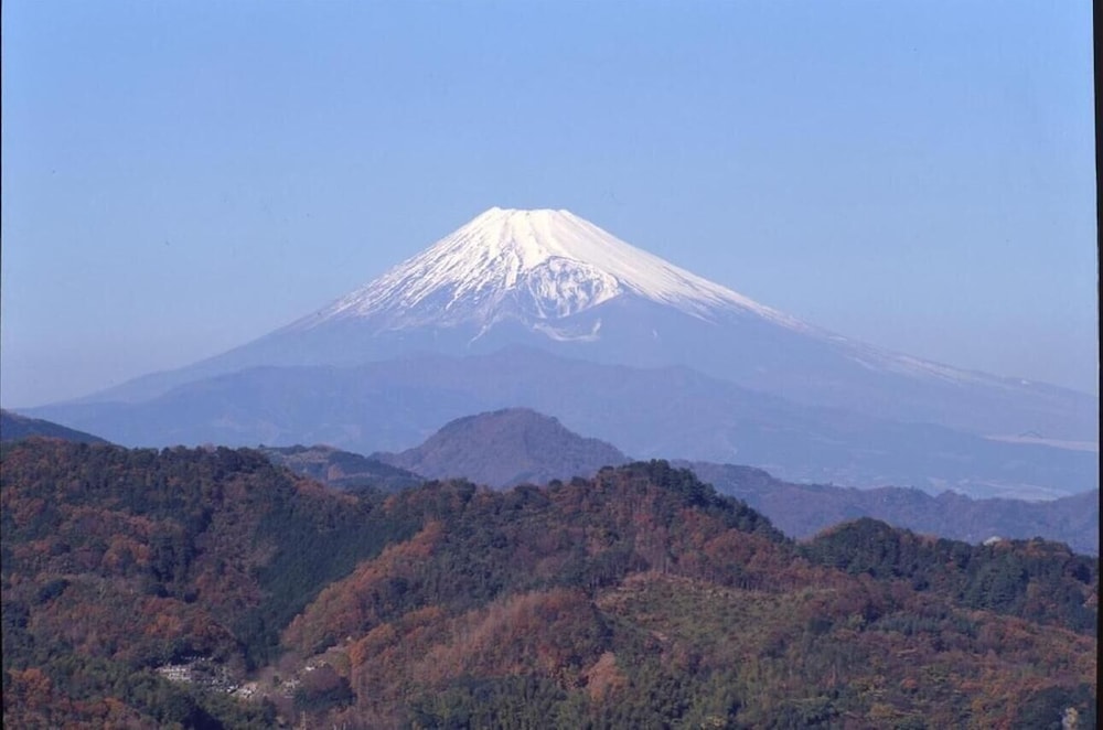 大仁ホテル 清水