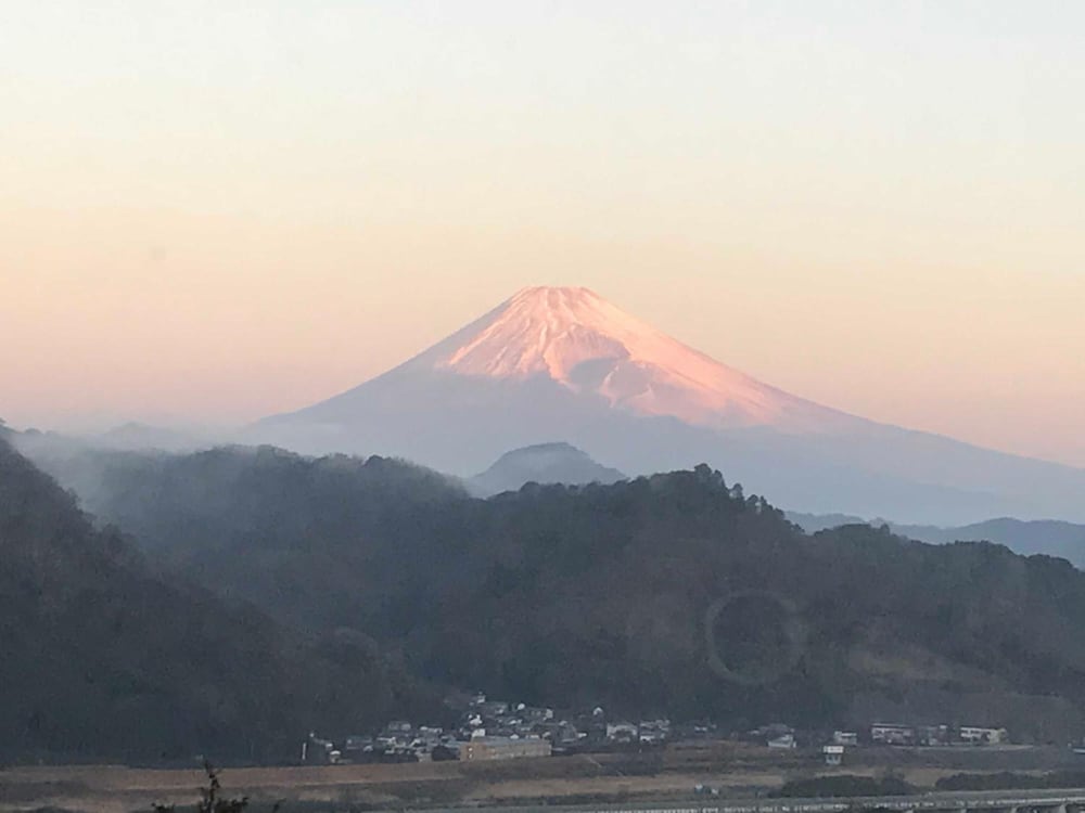 大仁ホテル 清水