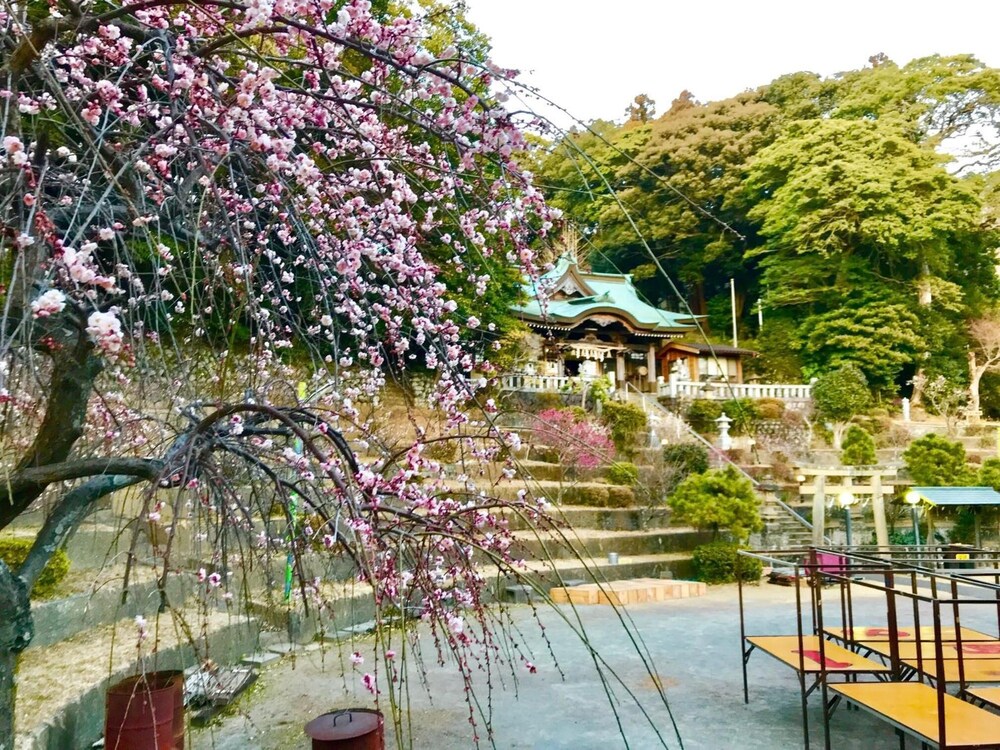 大仁ホテル 清水