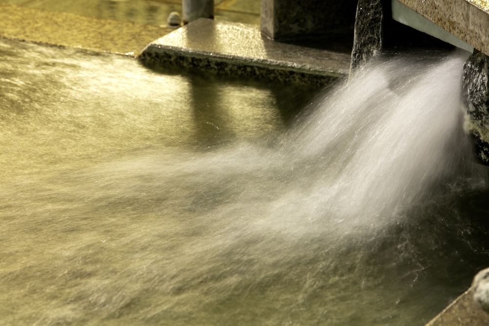 頼朝の湯 本陣 清水