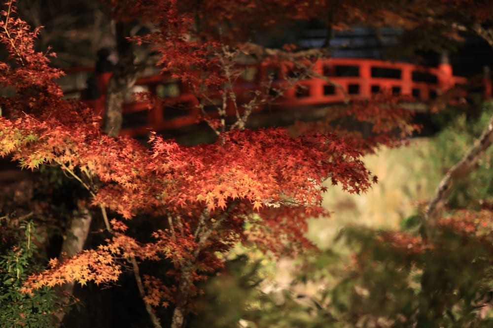 宮島コーラルホテル 宮島