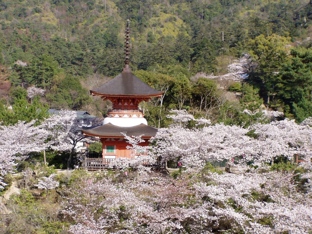 宮島ホテルまこと 宮島