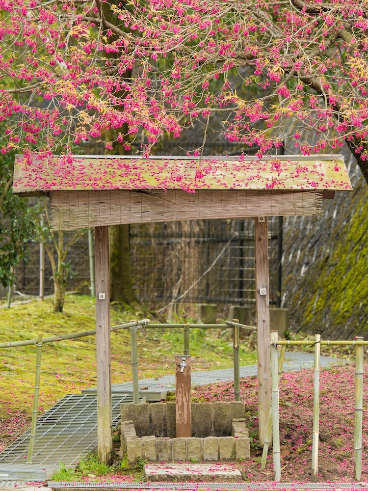 極楽寺山温泉 アルカディアビレッジ 宮島