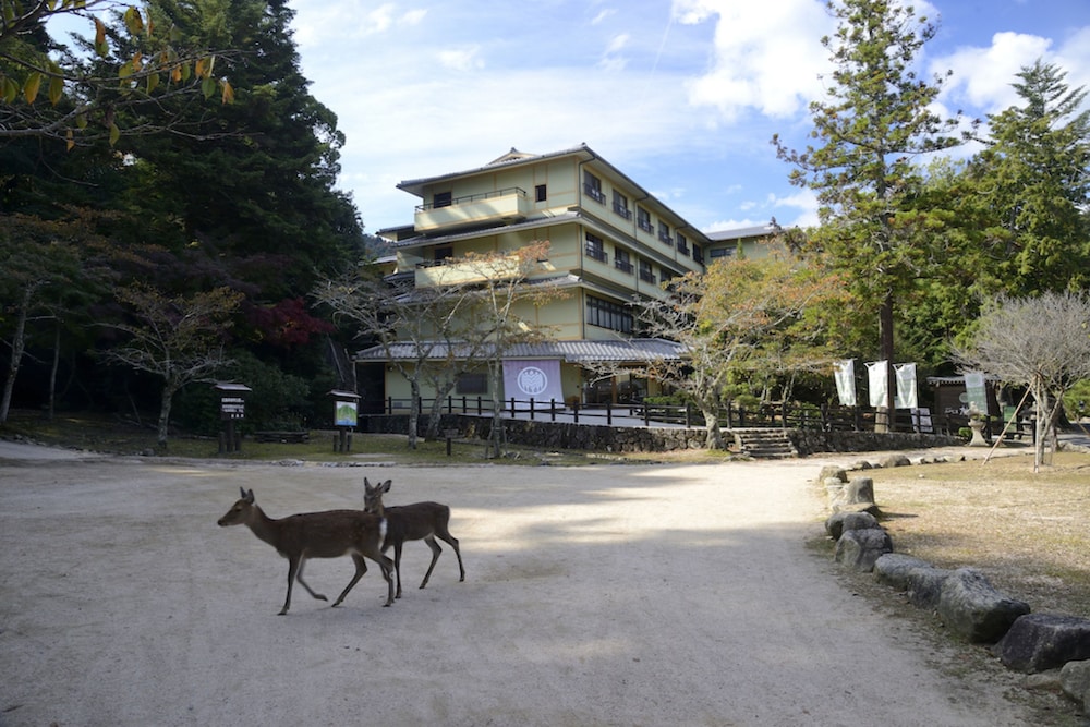 国民宿舎みやじま杜の宿 宮島