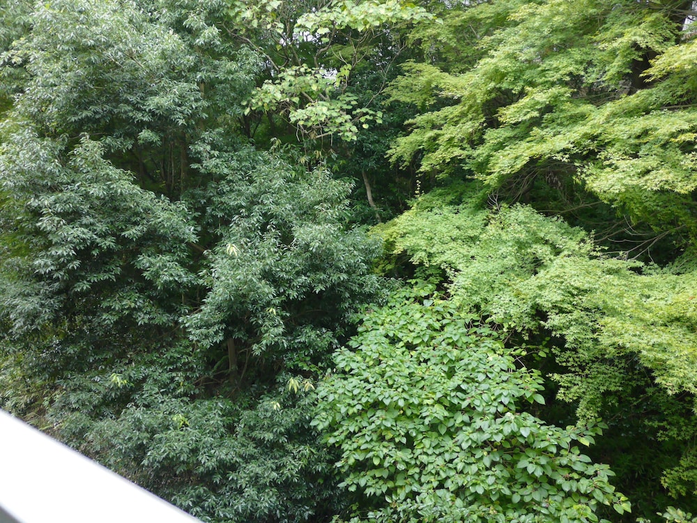 こいと旅館 福島