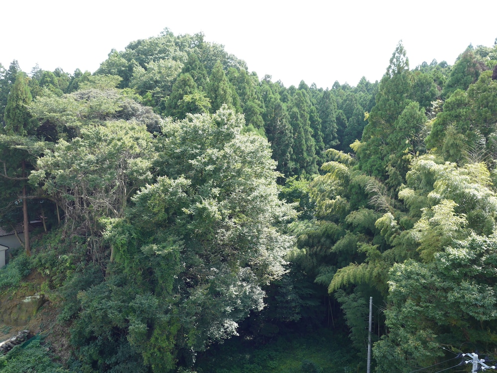 こいと旅館 福島