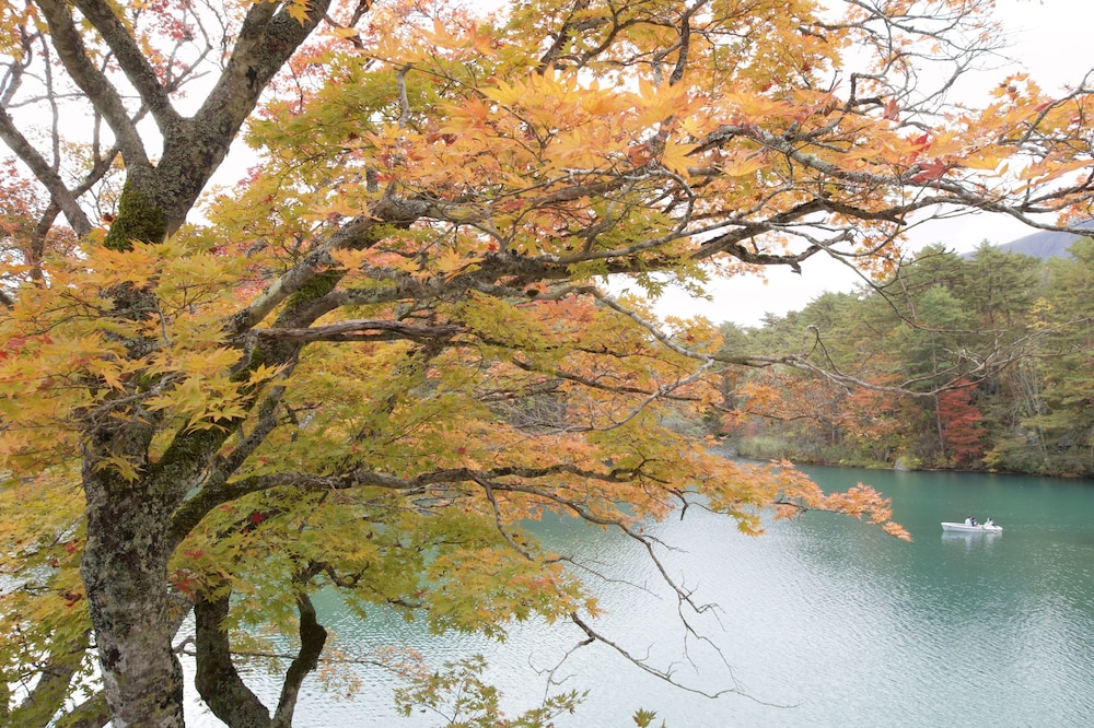 くつろぎ宿 千代滝 福島
