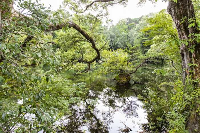 休暇村裏磐梯 福島