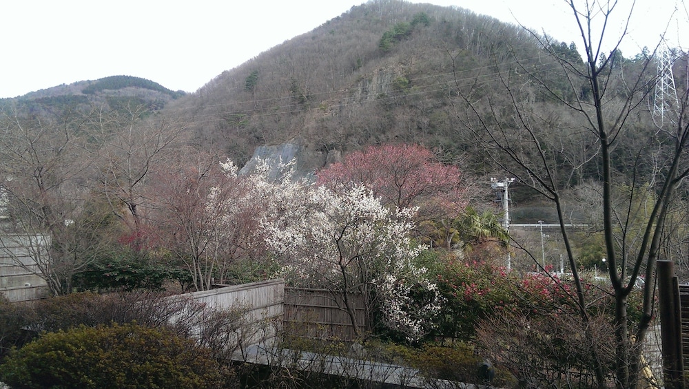 祭屋湯左衛門 福島