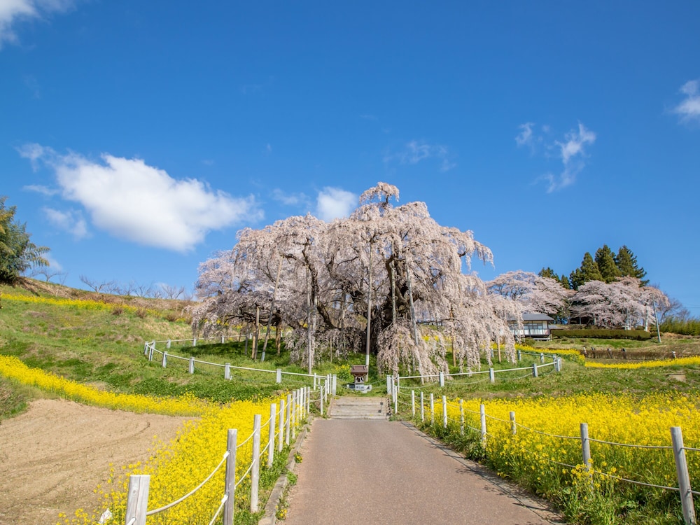 東横INN郡山 福島
