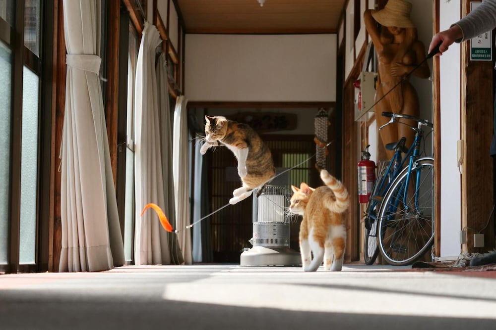 たきた館 福島
