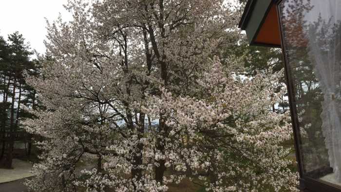 小川の流れるペンションのどか 福島