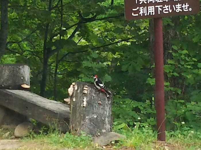ゲストハウス えん 福島