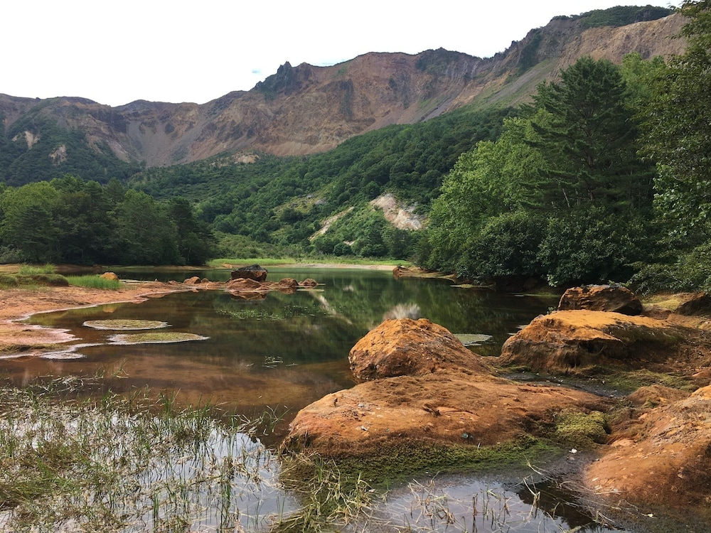 ドナルドペンション 福島