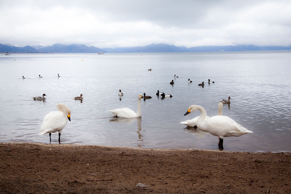 会津東山温泉 庄助の宿 瀧の湯 福島
