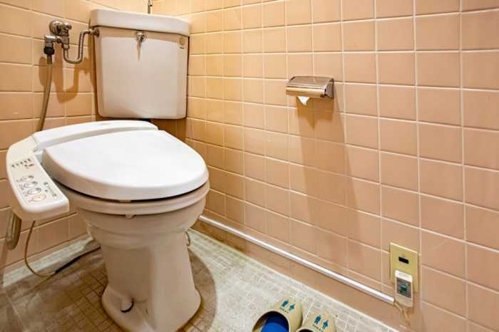 TABIST 山城屋別邸 月の庭 磐梯熱海温泉 福島