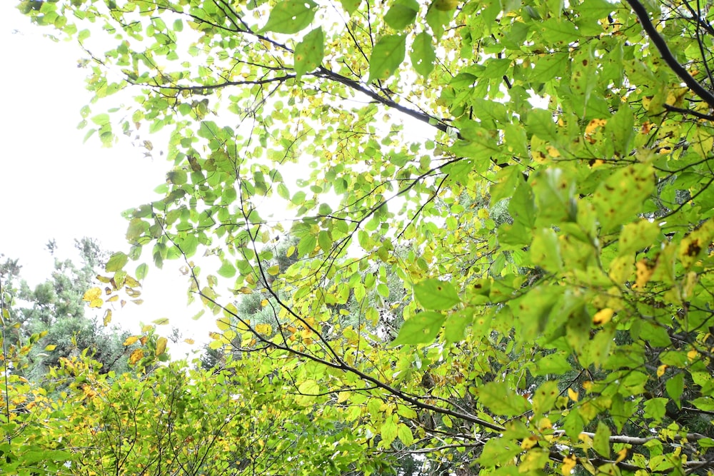 ゆとりろ磐梯熱海 福島