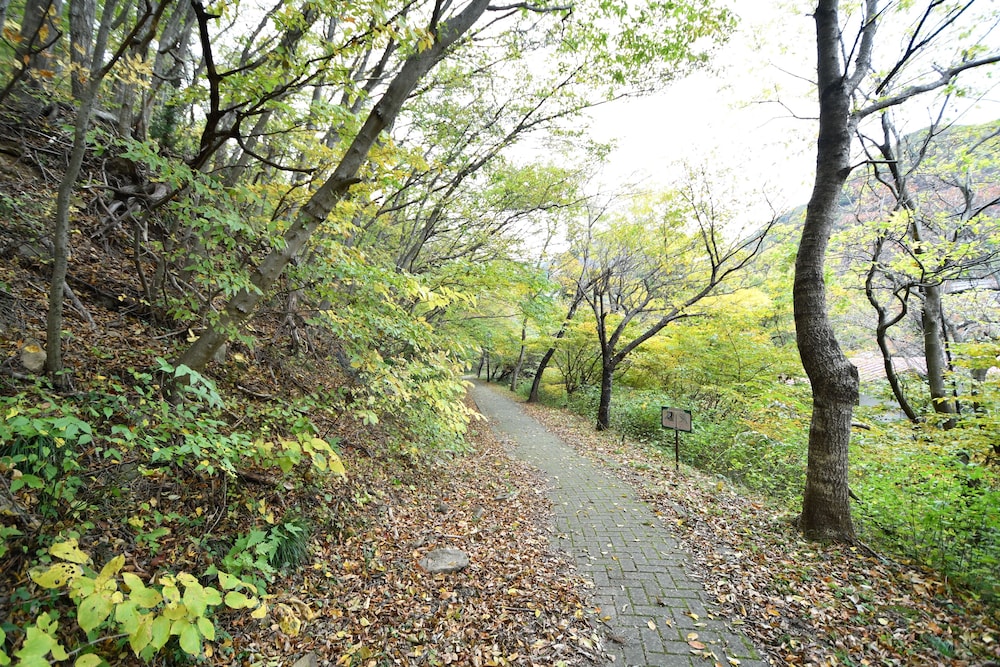 ゆとりろ磐梯熱海 福島