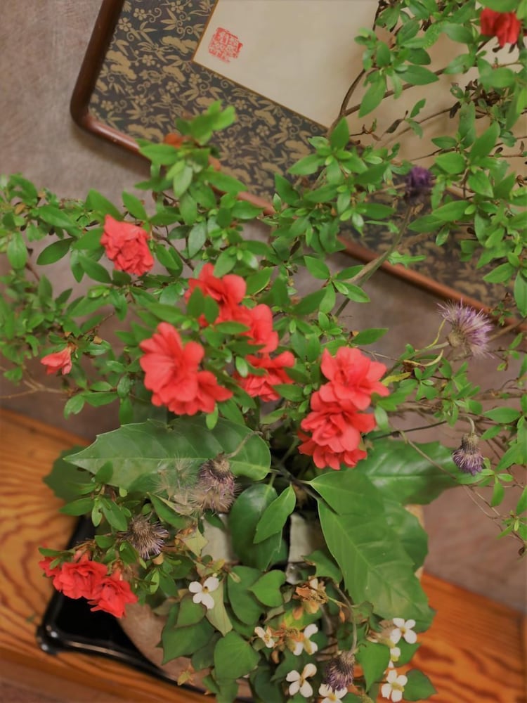 いわき湯本温泉 斎菊 福島