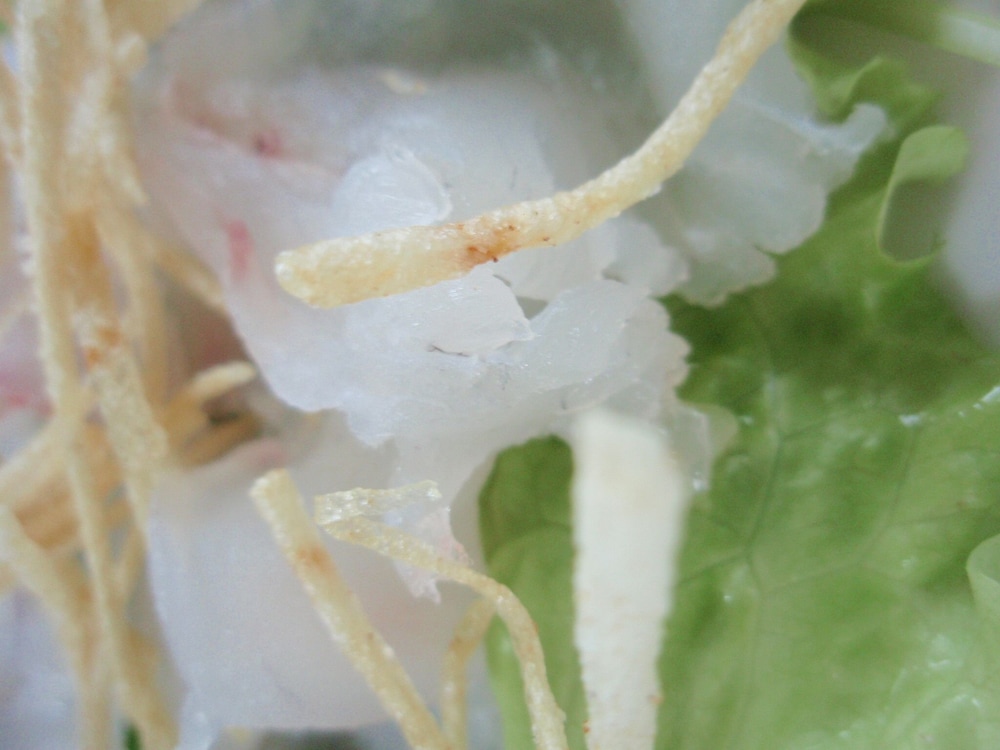 ペンション アルビン 福島