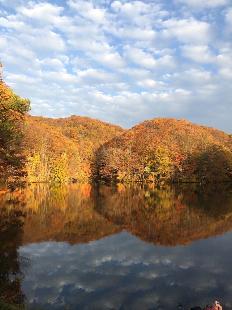 ペンション アルビン 福島