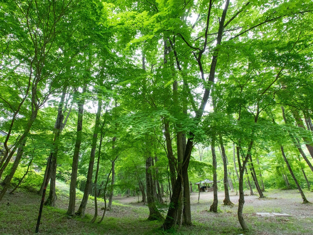 TABIST こぼうしの湯 洗心亭 会津湯野上温泉 福島