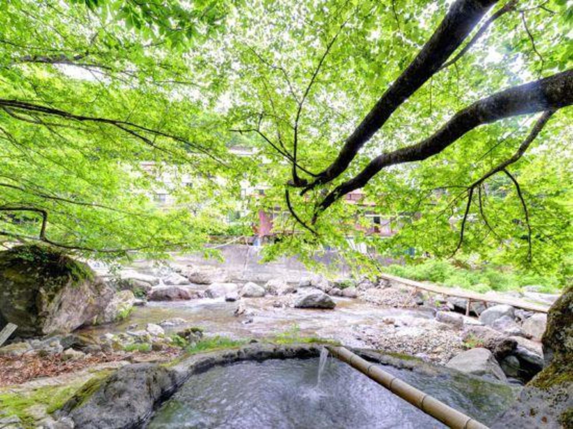 二岐温泉 柏屋旅館 福島