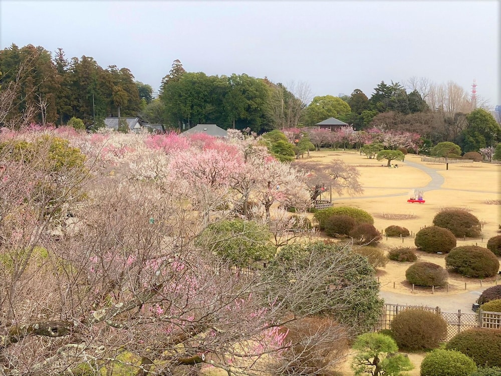 東横 INN 水戸駅南口 水戸