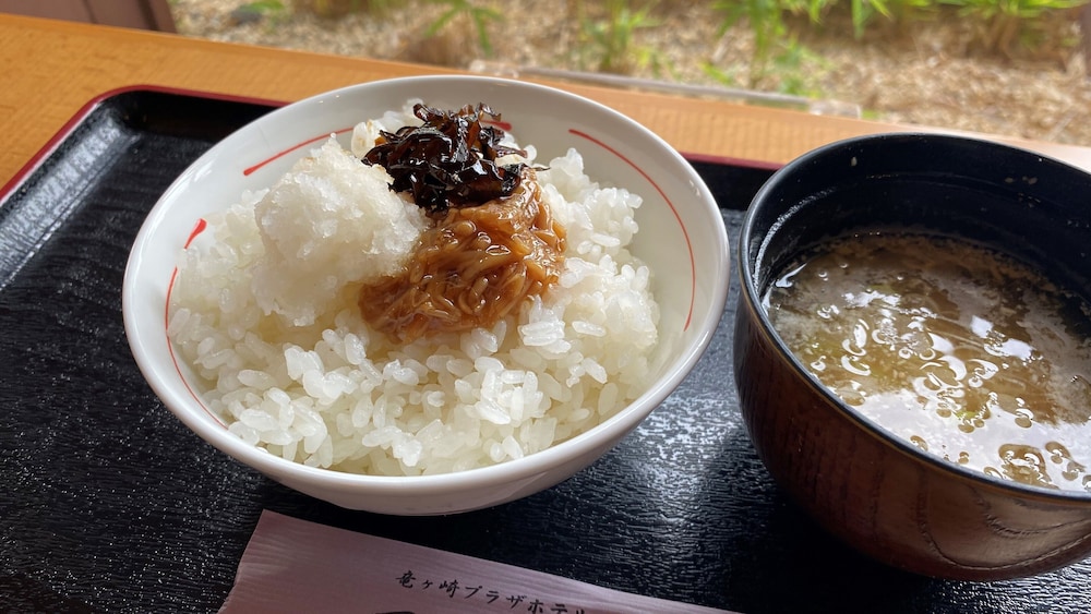 竜ヶ崎プラザホテル本館 水戸