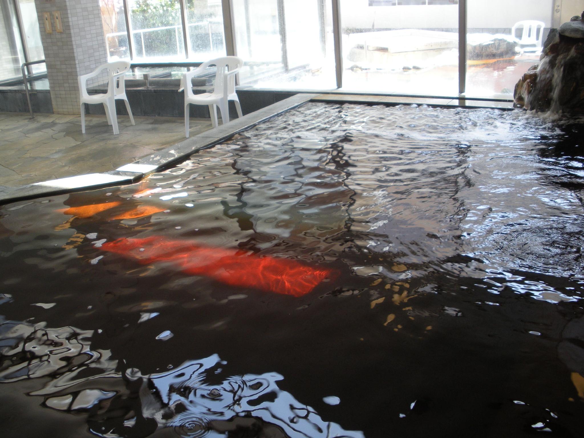 フレックステイイン鹿島セントラル 水戸