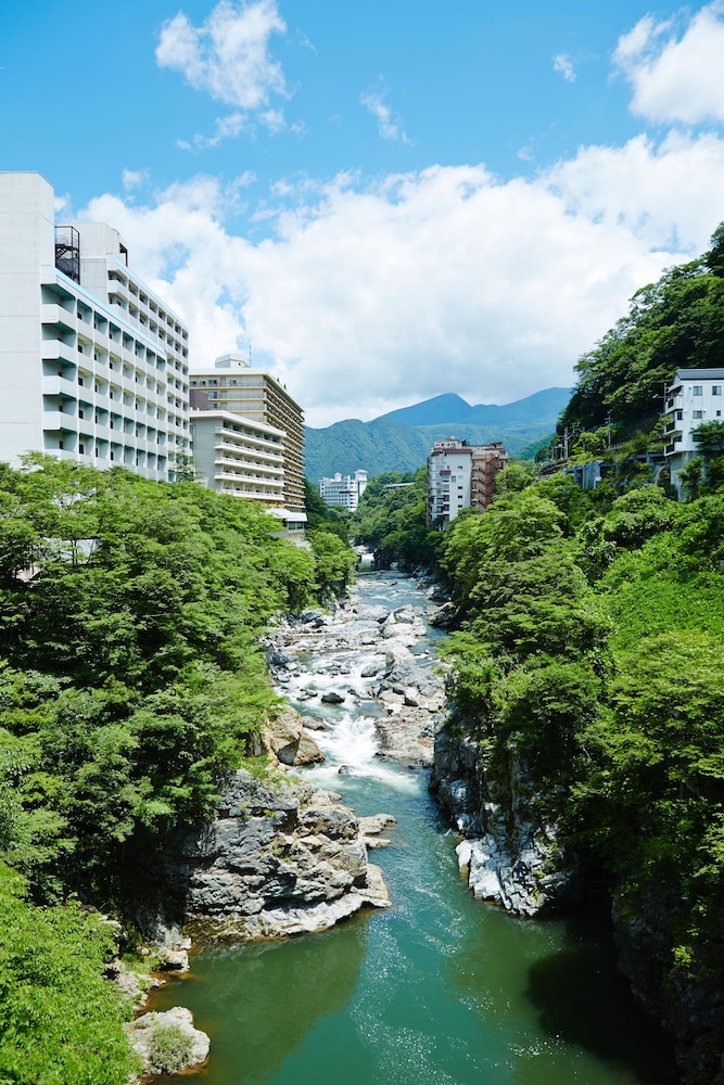 鬼怒川温泉ホテル 日光