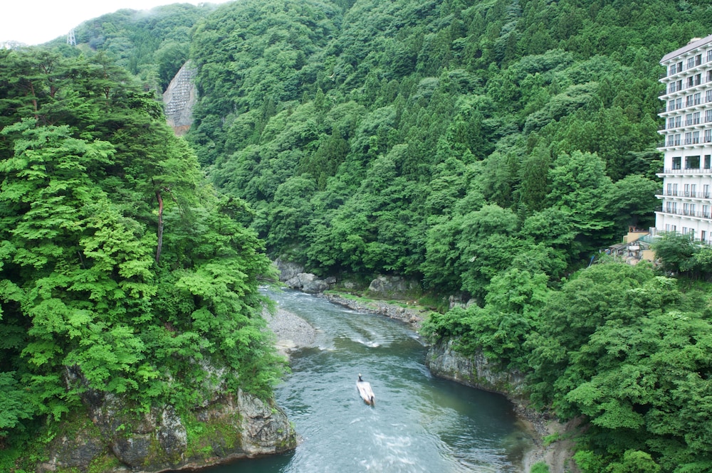 鬼怒川温泉 ホテルニューおおるり 日光