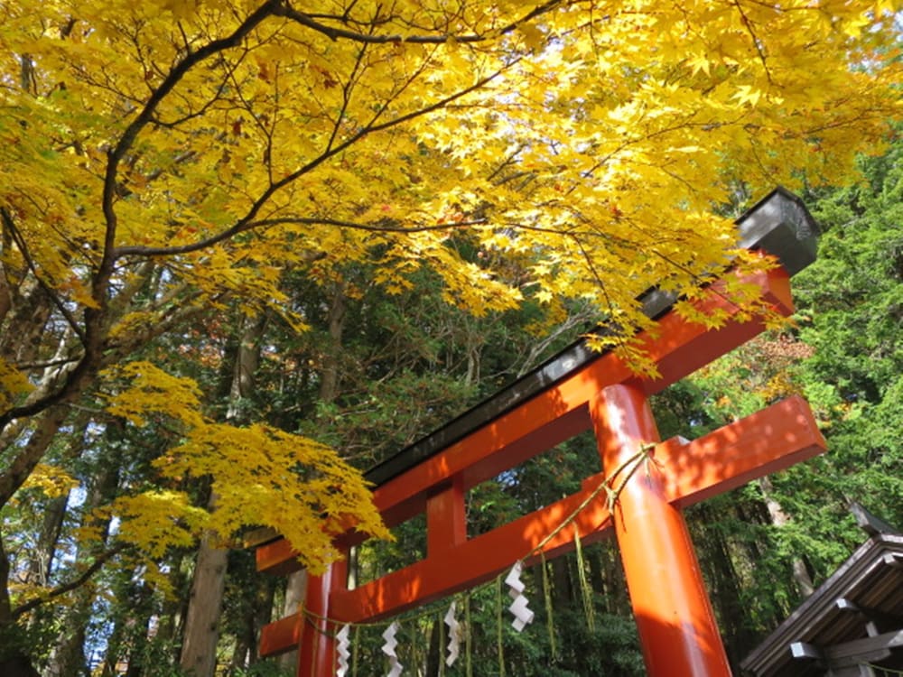日光山水 日光