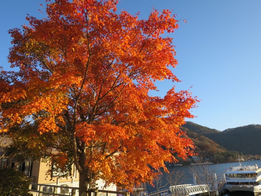 日光山水 日光