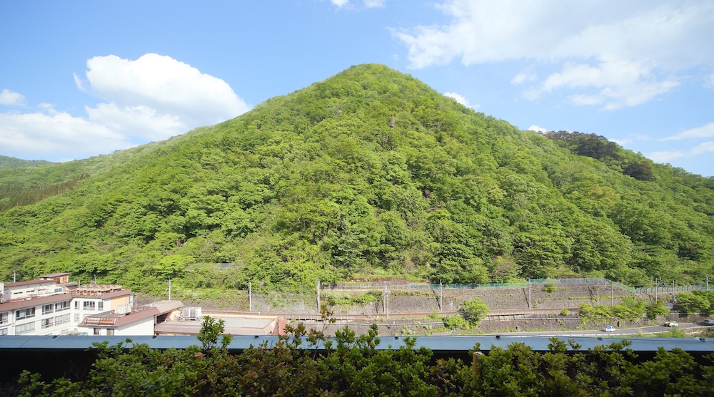 あさやホテル 日光