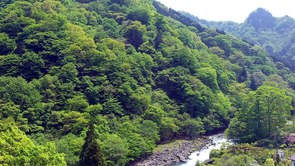 日光 千姫物語 日光