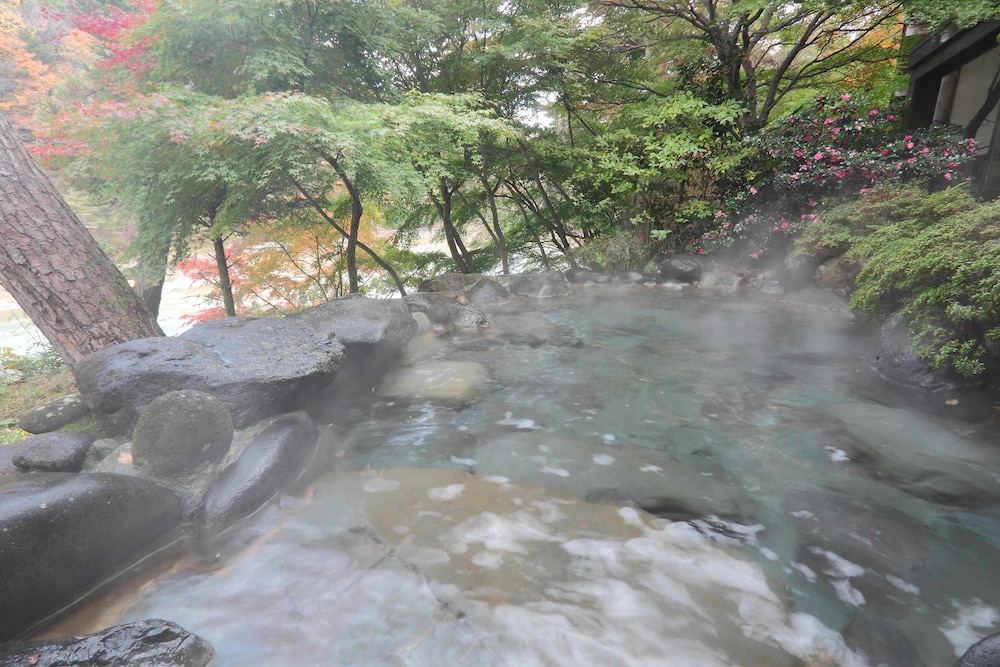 鬼怒川温泉 花の宿 松や 日光