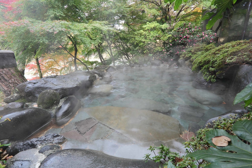 鬼怒川温泉 花の宿 松や 日光