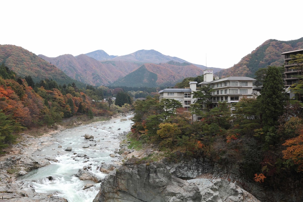鬼怒川温泉 花の宿 松や 日光