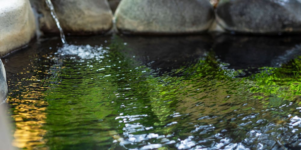 ホテル カジュアルユーロ 日光