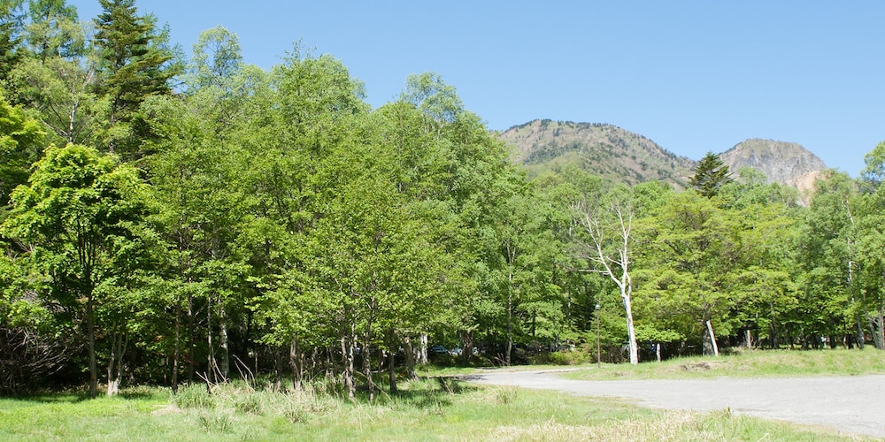 奥日光湯元温泉 おおるり山荘 日光