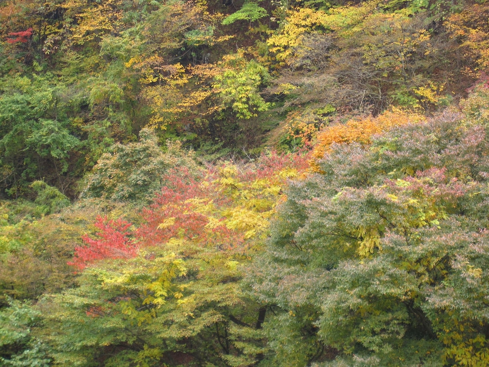 小槌の宿 鶴亀大吉 日光