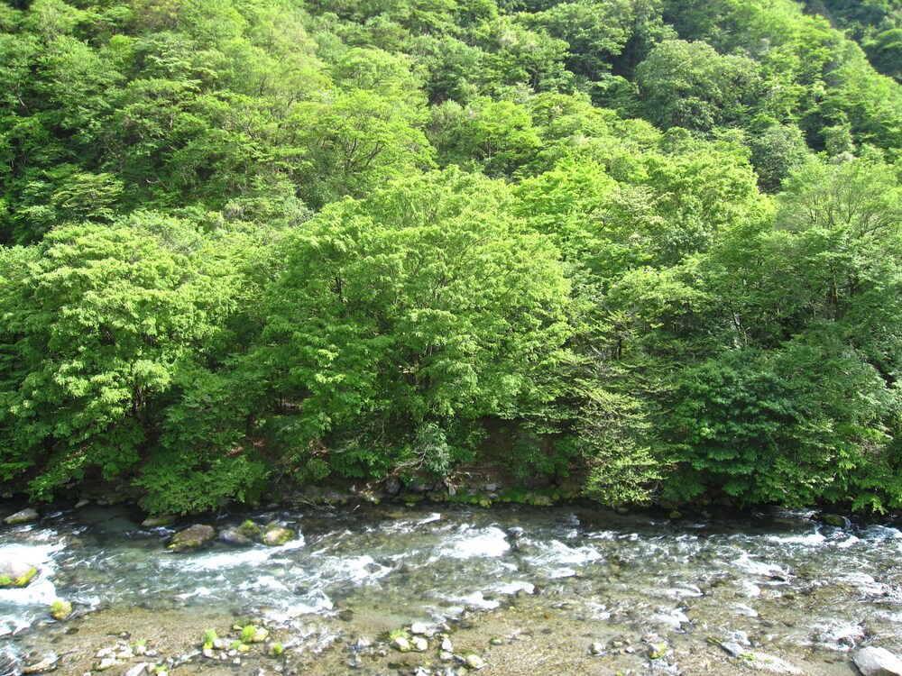 小槌の宿 鶴亀大吉 日光