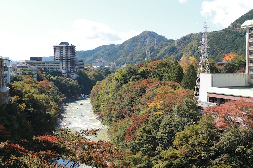 鬼怒川温泉 山楽 日光