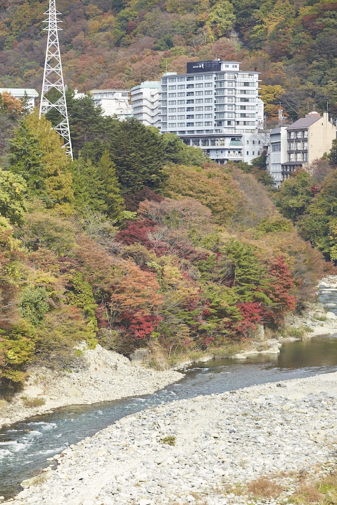 鬼怒川温泉 山楽 日光