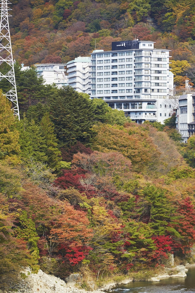 鬼怒川温泉 山楽 日光
